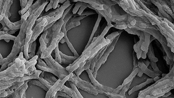 Havadan Elektrik Üretmenin Yolu Keşfedildi