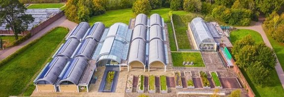 Kew s Noah s Ark Seed Vault Hits 40,000 Species From Around The World