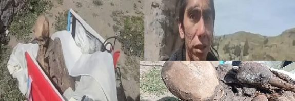 Police in Peru seize an 800-year-old mummified HUMAN from a former delivery man who claimed it was his 'girlfriend' and even slept with it in his BED