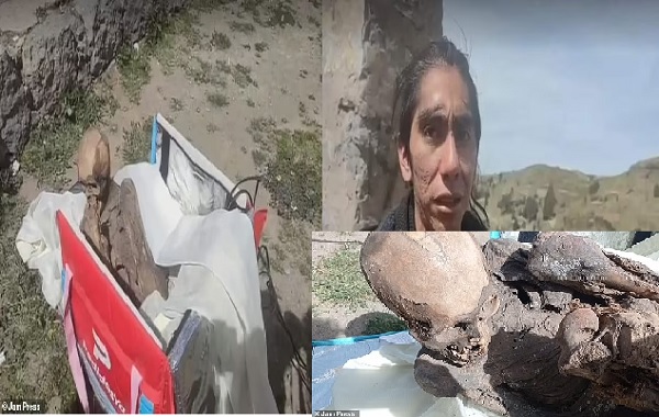 Police in Peru seize an 800-year-old mummified HUMAN from a former delivery man who claimed it was his 'girlfriend' and even slept with it in his BED