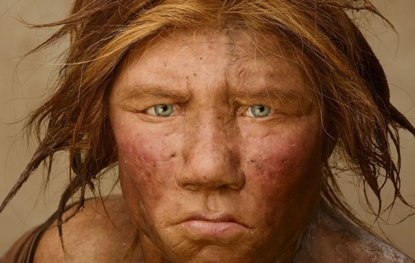Neandertaller Gerçekte