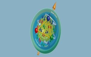 A Look at The Proton's Inner Structure Shows How Its Mass Isn't The Same as Its Size