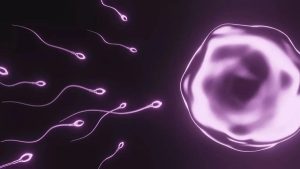 Sperm Sayısını Ve Kalitesini Neler Etkiliyor?