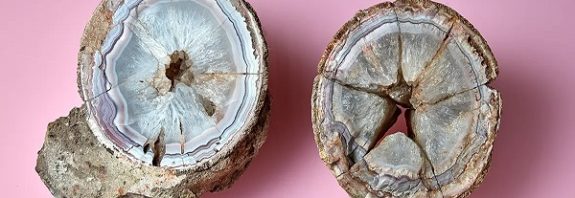 "Rock" Containing Stunning Agate Turns Out To Be 60-Million-Year-Old Dinosaur Egg