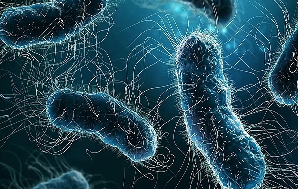 Scientists find promising antibiotic-resistant bacteria treatment — gold