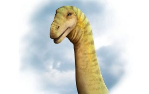 95-Million-Year-Old “Near-Complete” Dinosaur Skull Is First Of Its Kind In Australia