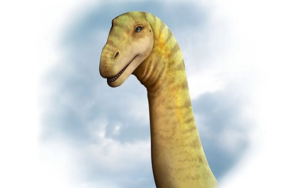 95-Million-Year-Old “Near-Complete” Dinosaur Skull Is First Of Its Kind In Australia