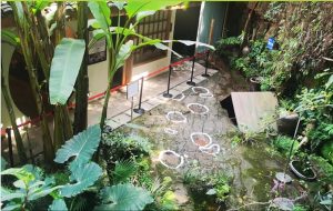 Restoran Masasının