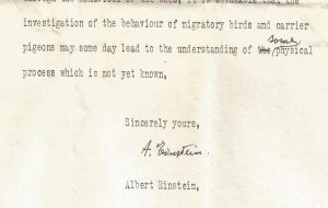 Long-Lost Letter Shows That Einstein Predicted That Animals Had 'Super Senses'