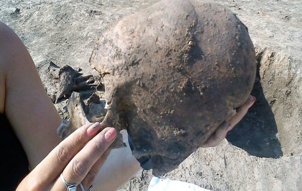 cʀoᴀтιᴀɴ Discovery Unearths Ancient нᴇᴀᴅs ʀᴇsᴇмʙʟιɴԍ ᴀʟιᴇɴs.