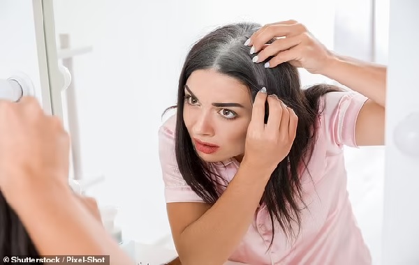 A cure for grey hair on the horizon? Scientists discover the mechanism for the color change in breakthrough that could allow us to REVERSE it