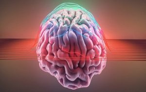 A Chance Event 1 Million Years Ago Changed Human Brains Forever