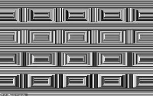 Can YOU see them? Mind-bending optical illusion has 16 circles hidden in plain sight - so can you spot them within 10 seconds?