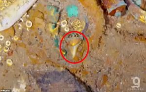 The Titanic gives up its forgotten treasures: Lost gold necklace made from the tooth of a megalodon shark is discovered in the shipwreck - 111 years after the doomed liner sank