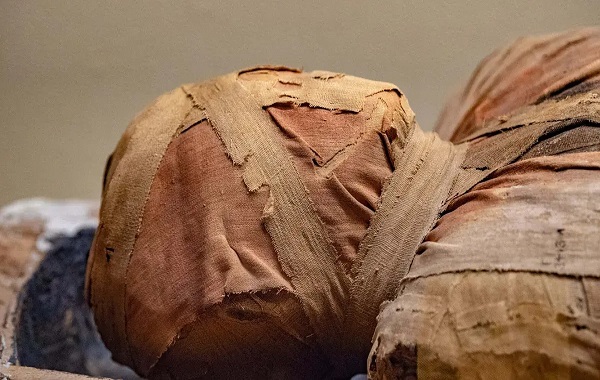 The mummy's curse finally revealed: It's a deadly fungus