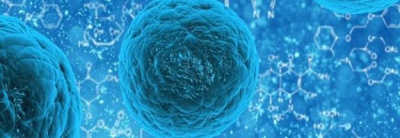 Newly discovered electrical activity within cells could change the way researchers think about biological chemistry