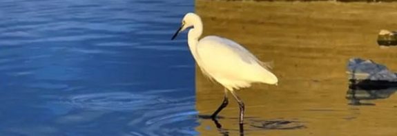 Sizce Bu Fotoğraf Doğal mı? İnsanlar Gerçek Olduğuna İnanamıyor