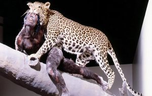 Ne Şekilde Öldükleri