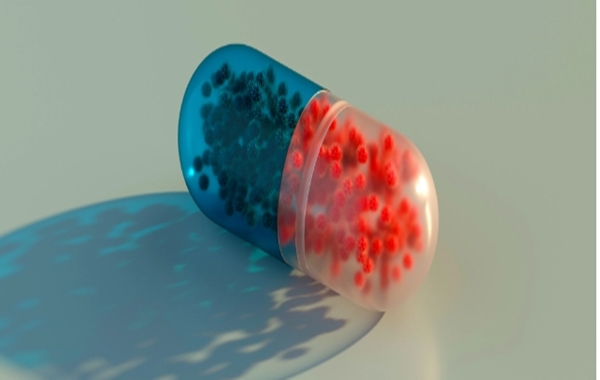 Beyin Değiştiren Mantarlar