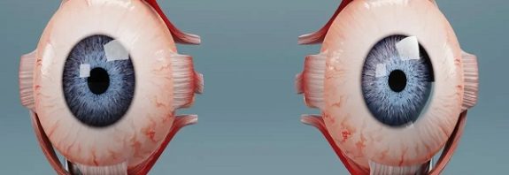 Scientists identify genes that can repair the retina and reverse vision loss in humans