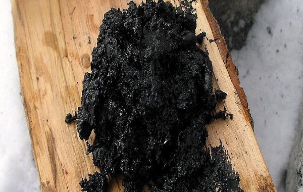 Neanderthals May Have Been The First To Carefully Concoct This Substance