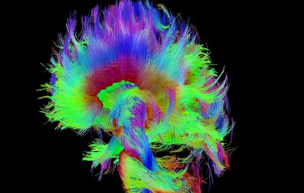25-Year Search For The Source of Consciousness Ends – And Neuroscience Lost This One