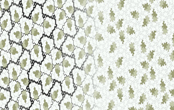 This 'Stunning' 14-Sided New Shape May Deepen How We Understand 'Order in Nature'