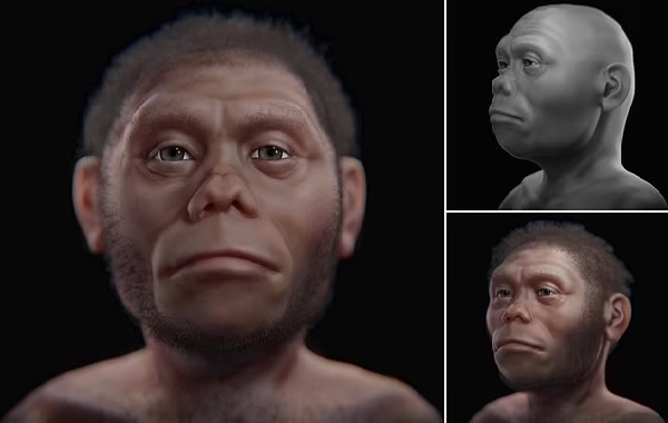 Frodo, is that you? Face of a 'real-life HOBBIT' who lived in Indonesia 60,000 years ago is revealed for the first time
