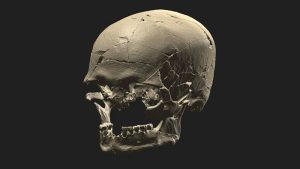 DNA Reveals that Luzio, Who Lived in São Paulo 10,000 Years Ago, Was an American Indian Like Today's Indigenous Peoples