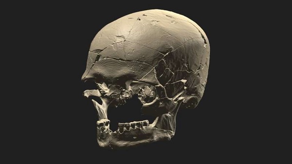 DNA Reveals that Luzio, Who Lived in São Paulo 10,000 Years Ago, Was an American Indian Like Today's Indigenous Peoples