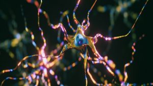 MS'i Daha Şiddetli Hale Getiren Tek Gen Mutasyonu Bulundu