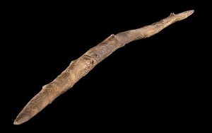 300.000 Years Of Discovery: Early Humans Were Woodwork Experts