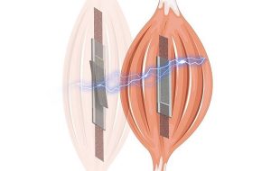 Hisseden ve Kasılan Yeni Yapay Kaslar Devrim Yaratabilir