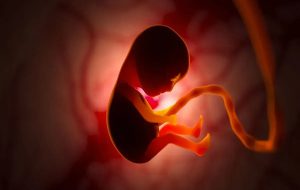 Study finds, 'greedy' genes from father encourage unborn babies to steal their mother’s food