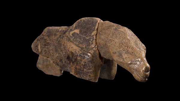 Case of mistaken identity: the "horse" at Hohle Fels was not a horse