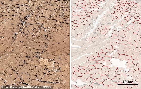 Is this proof Mars once had life? Odd patchwork of polygon-shaped mud cracks suggests Red Planet used to have Earth-like conditions 3.6 billion years ago, scientists say