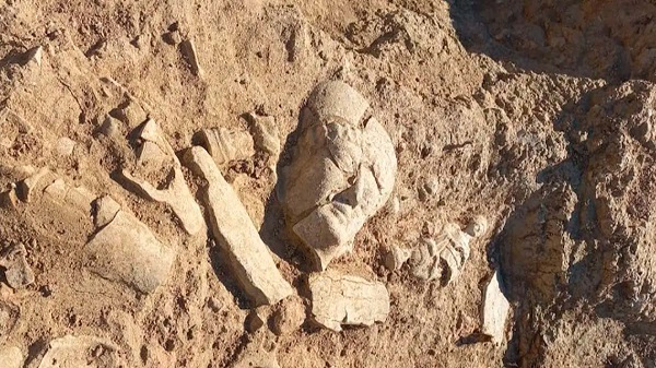 Huge Votive Finds from Valley of Temples in Sicily Shed Light on Exodus of 406 B.C.