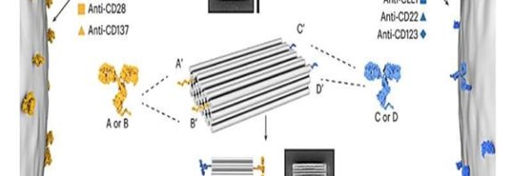 Yapay DNA Yapıları