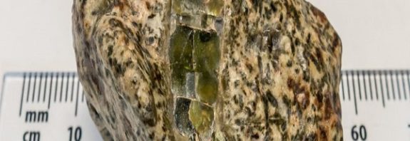 This Ancient Meteorite Is A Time Capsule From The Birth of Our Solar System