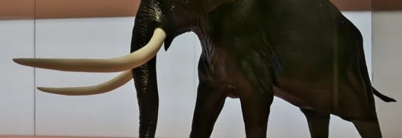 Neandertaller 125.000 Yıl