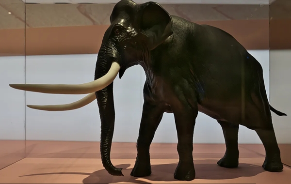 Neandertaller 125.000 Yıl