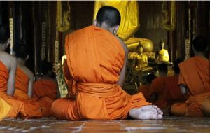 Ölü Gibi Görünen