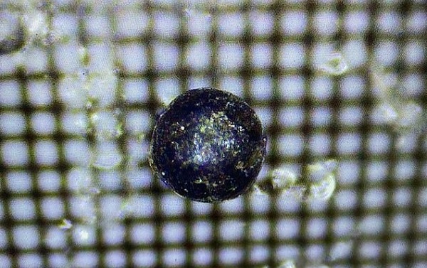 Harvardlı Fizikçi Okyanusa Düşen Kürelerin Uzay Cismi Olduğunu Kanıtladı 