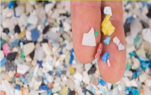 Beyindeki Mikroplastikler