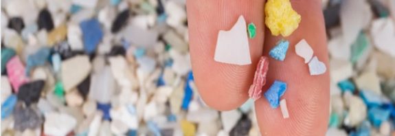 Beyindeki Mikroplastikler