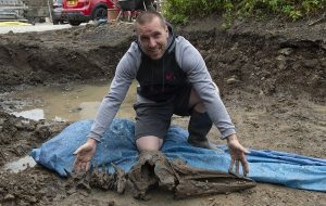 Bahçesinde Havuz Kazarken 8.000 Yıllık Bir Yunusun Kemiklerine Ulaştı