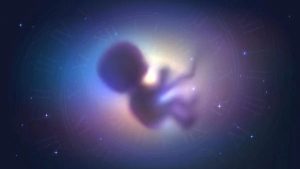 Startup Uzayda Bebek Sahibi Olmak İçin IVF Kuluçka Makinesi Yarattı