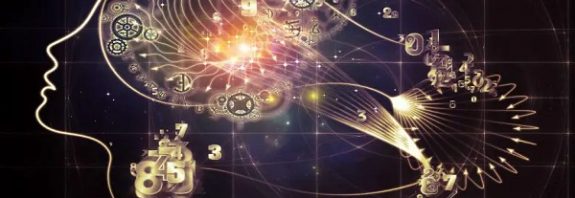 A Sense of Order – The Unique Trait That Sets Us Apart From Other Animals