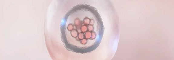 Model of human embryo developed without sperm, eggs or a womb