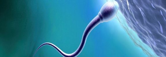 Amazing Discovery Reveals Why You Didn't Get Your Dad's Mitochondria